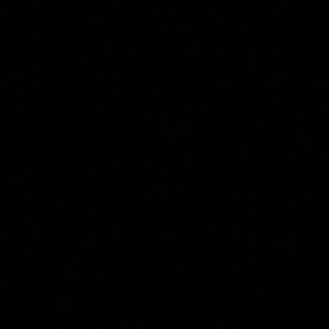 Meet your Posher, Antonio